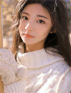 电视剧锦衣卫